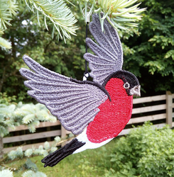 Hýl ♂ 95 × 85 mm 