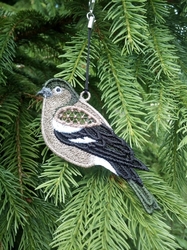 Pěnkavka ♀ 100 × 55 mm